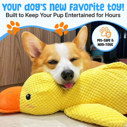 Quacky Comfort Duck